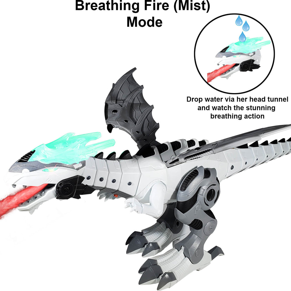 
                  
                    premium flying dragon toy / dinosaur toy for kids - fire breathing
                  
                